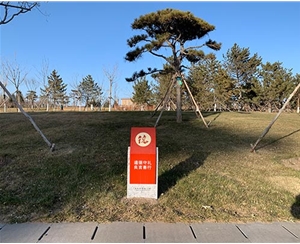 古城公园